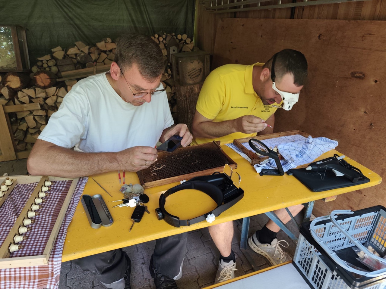 Unser 1. Vorstand Roland Ebner und Marcel Schwämmle bewaffnet mit Umlarvlöffel, Brille und Stirnlupe bereit zur Umlarvoperation.