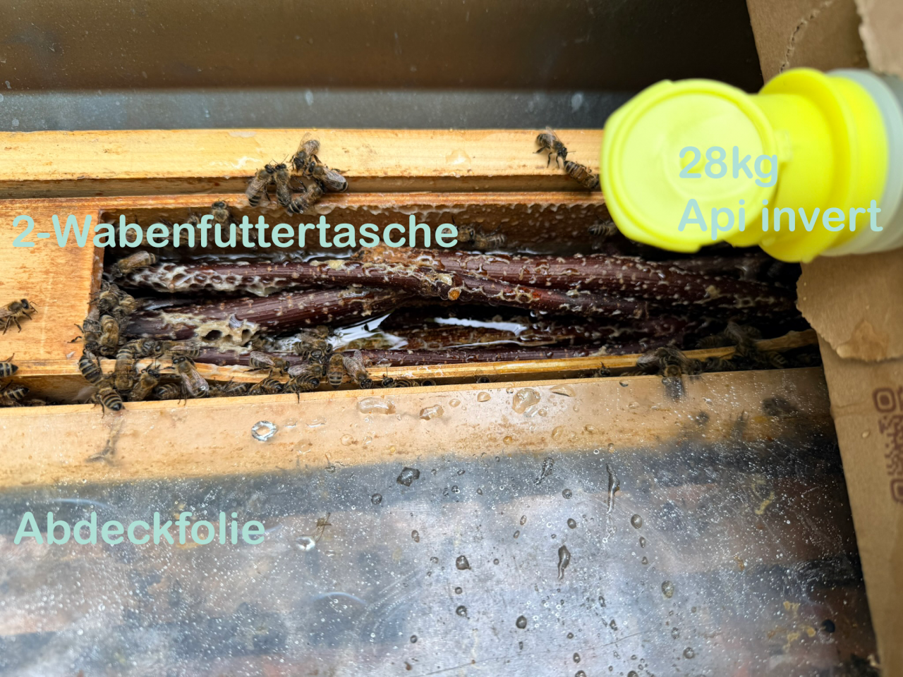 Bienenstock mit 2-Wabenfuttertasche, welche mit Api invert aus dem 28kg-Pack befüllt wird. Unterhalb der Futtertasche sieht man die Abdeckfolie des Stockes.