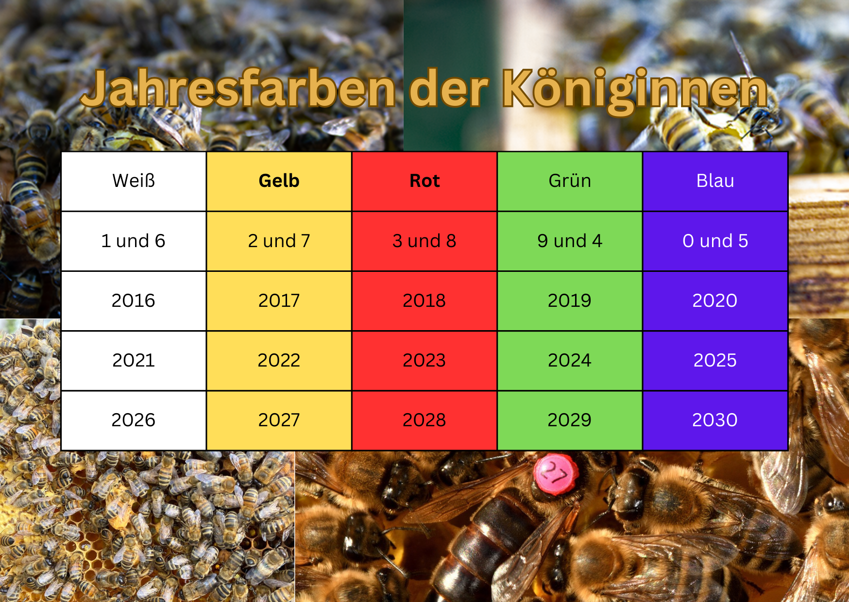 Jahresfarben von Bienenköniginnen